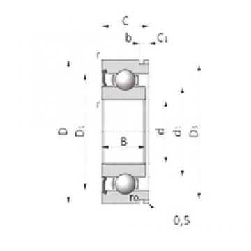 25 mm x 65 mm x 19 mm  NTN SX0590LUN Rolamentos de esferas profundas