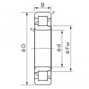 100 mm x 150 mm x 24 mm  NACHI NJ 1020 Rolamentos cilíndricos