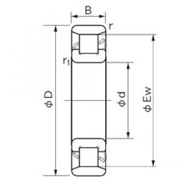 25 mm x 80 mm x 21 mm  NACHI N 405 Rolamentos cilíndricos