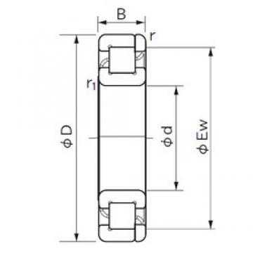 130 mm x 280 mm x 58 mm  NACHI NP 326 Rolamentos cilíndricos