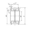 65 mm x 100 mm x 46 mm  NACHI E5013NRNT Rolamentos cilíndricos