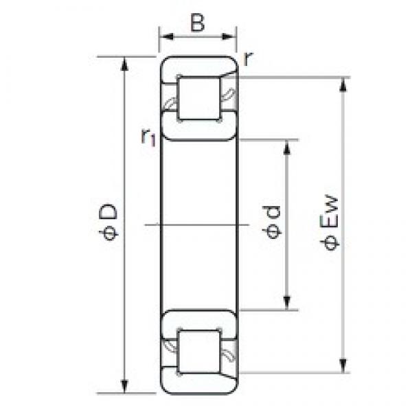 25 mm x 52 mm x 15 mm  NACHI NF 205 Rolamentos cilíndricos #1 image