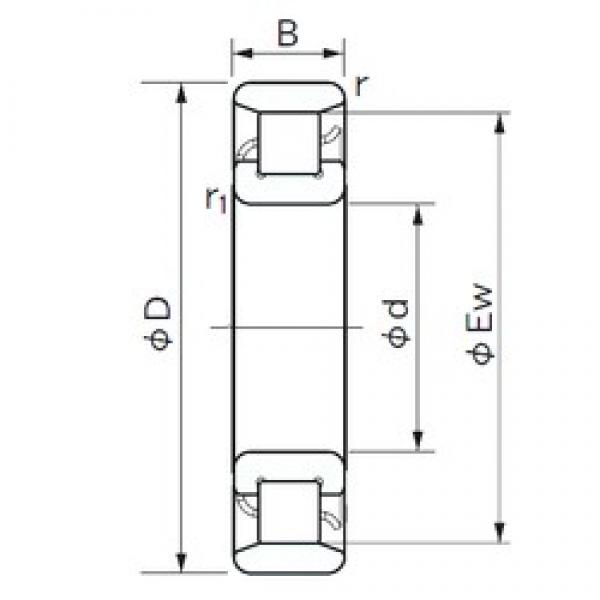 100 mm x 215 mm x 47 mm  NACHI N 320 Rolamentos cilíndricos #1 image