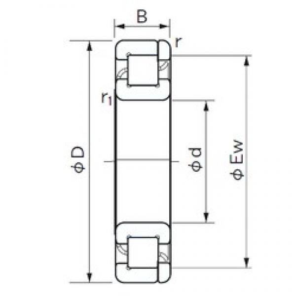 140 mm x 210 mm x 33 mm  NACHI NP 1028 Rolamentos cilíndricos #1 image