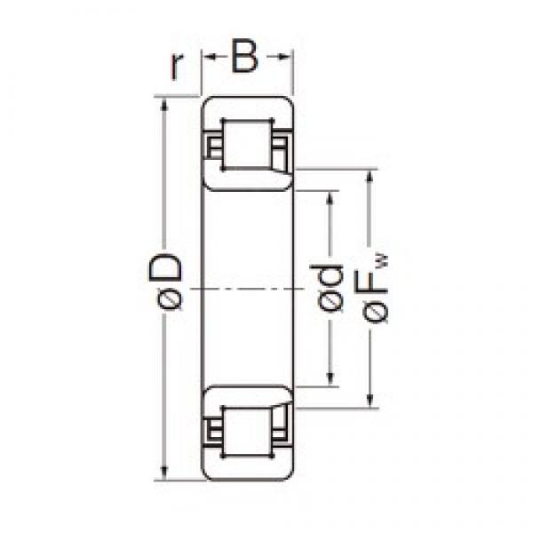 25 mm x 52 mm x 18 mm  NACHI NJ2205EG Rolamentos cilíndricos #1 image